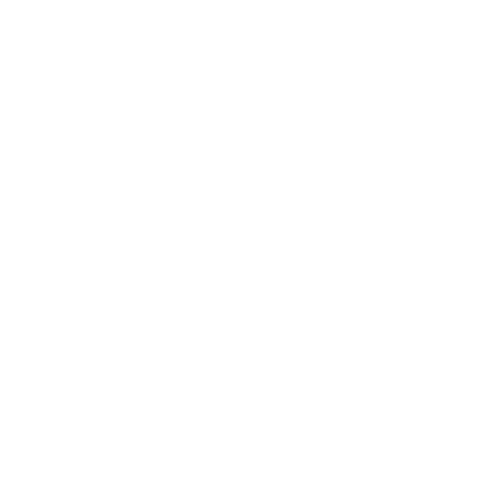 Wilnet logo